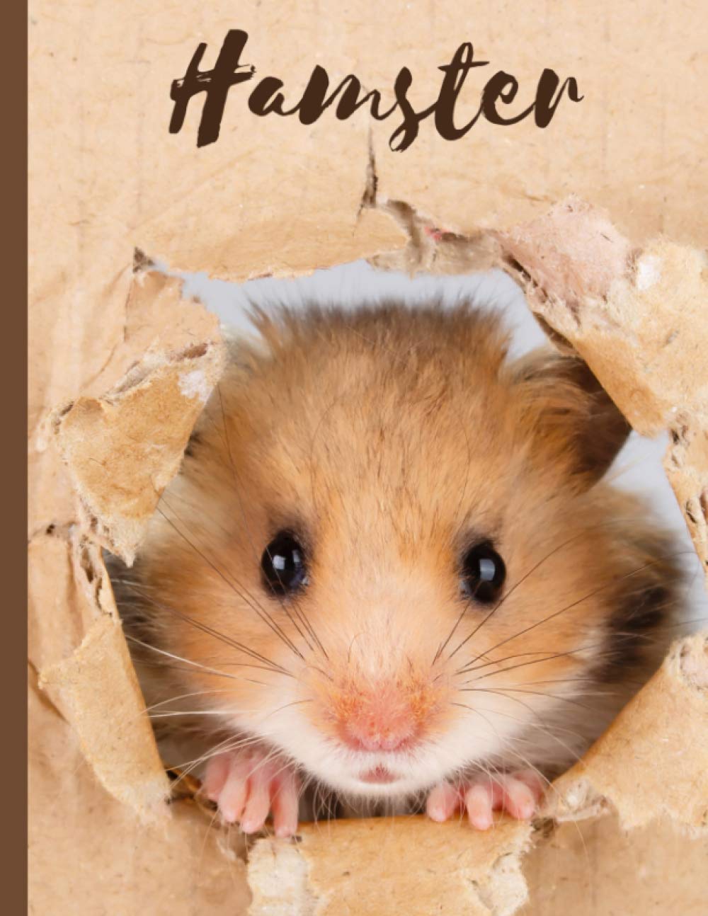 Hamster Sketchbook: 8.5x11.5" Blank Drawing Painting Notebook