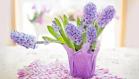 Amazon Co Jp ヒヤシンスの花瓶 木製パズル減圧おもちゃ家の装飾hd印刷は創造的な贈り物を刺激します おもちゃ Amazon Co Jp ヒヤシンスの花瓶 木製パズル減圧おもちゃ家の装飾hd印刷は創造的な贈り物を刺激します おもちゃ