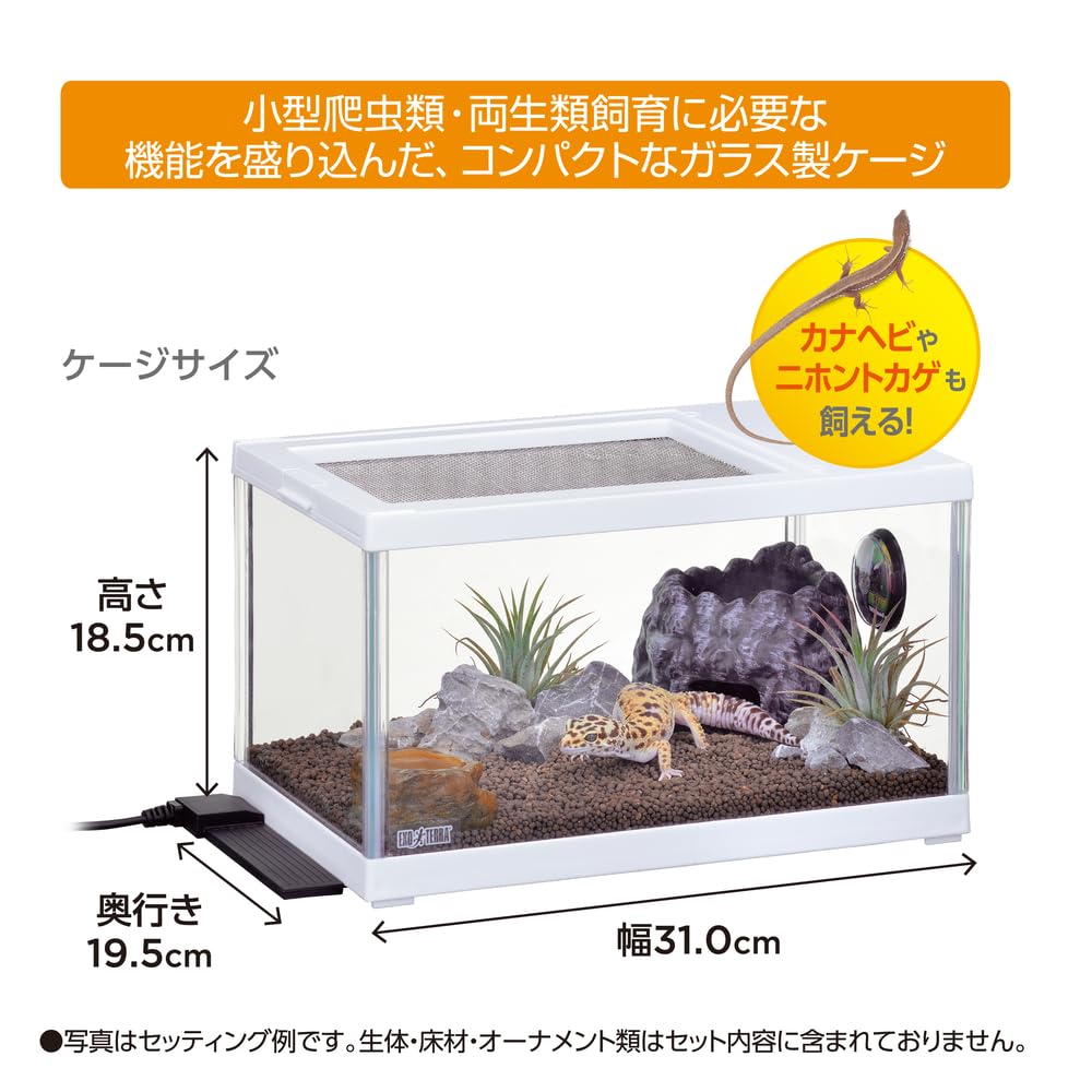 Amazon | 【ジェックス】レオパ飼育キットS TV | ペットグッズ・りりあ