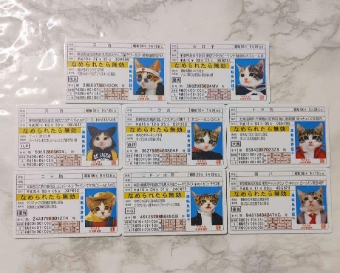 Amazon.co.jp: なめ猫 なめんなよ カードコレクション2 免許証
