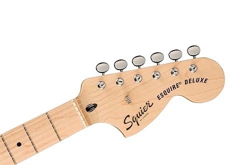 Miniatura 5 de Paranormal Esquire Deluxe, Maple Fingerboard, Black Pickguard, Metallic Black