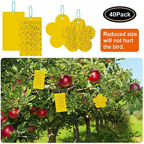 Fullsexy 40Pcs Yellow Sticker Trampa de Moscas para el Control de plagas Orchard Pot Plant Colgando tableros Amarillos