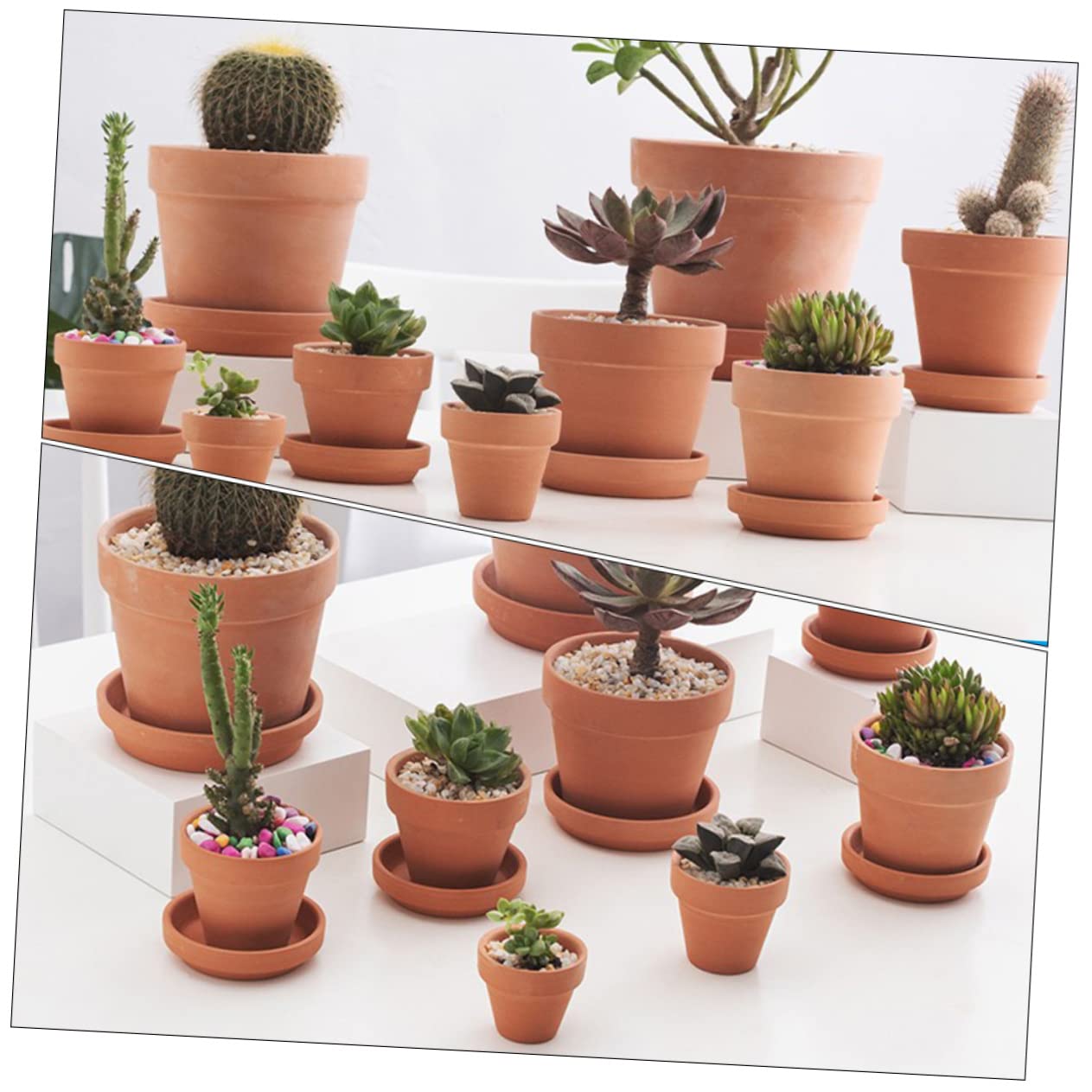 VICASKY 20pcs Mini Terracotta Pots for Succulent and Cactus Planting Drainage Nursery Planters for and Craft Projects