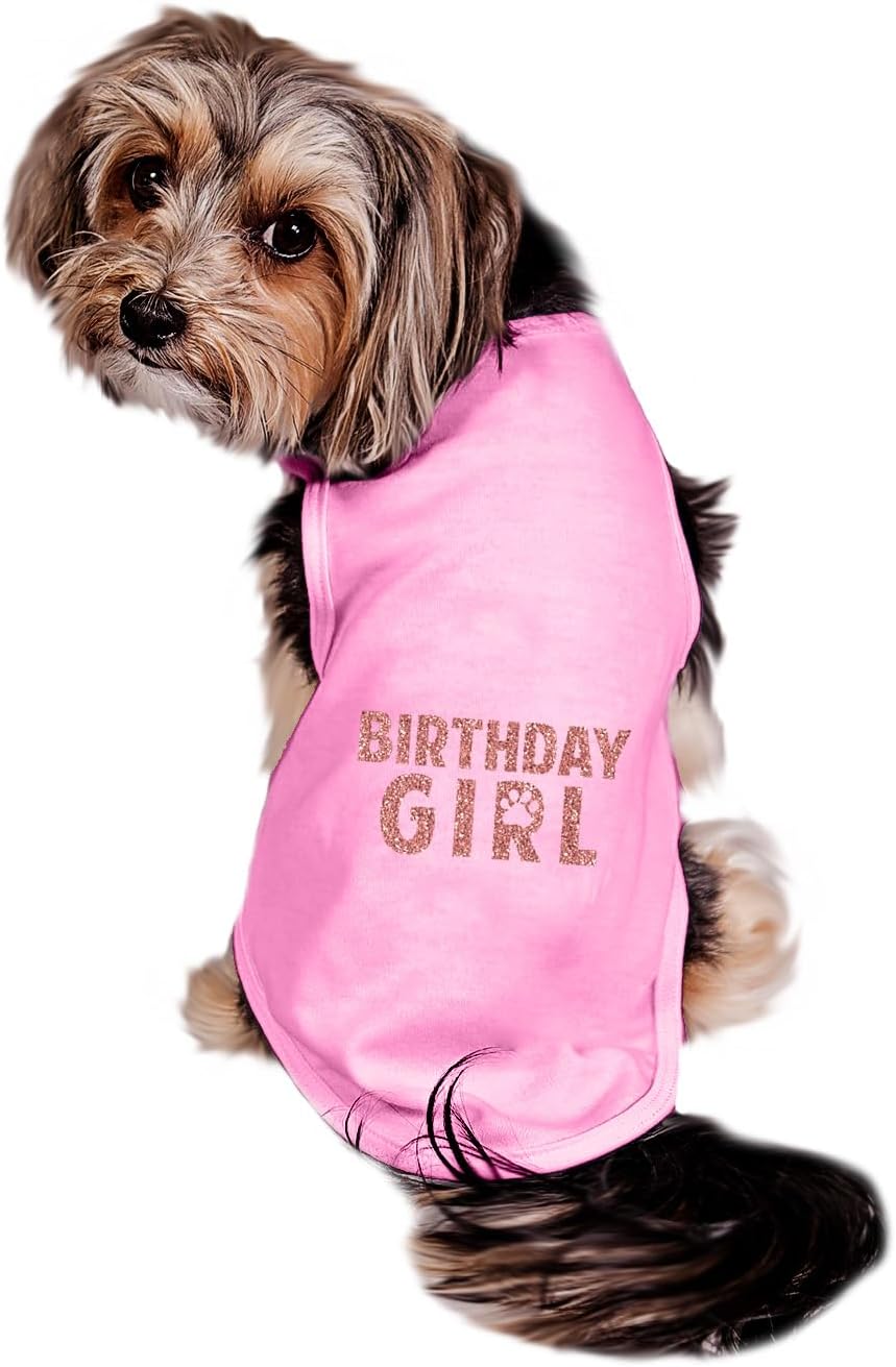Birthday Girl Dog Shirt, Glitter Sparkle Birthday Girl Dog Shirt, Birthday Shirt