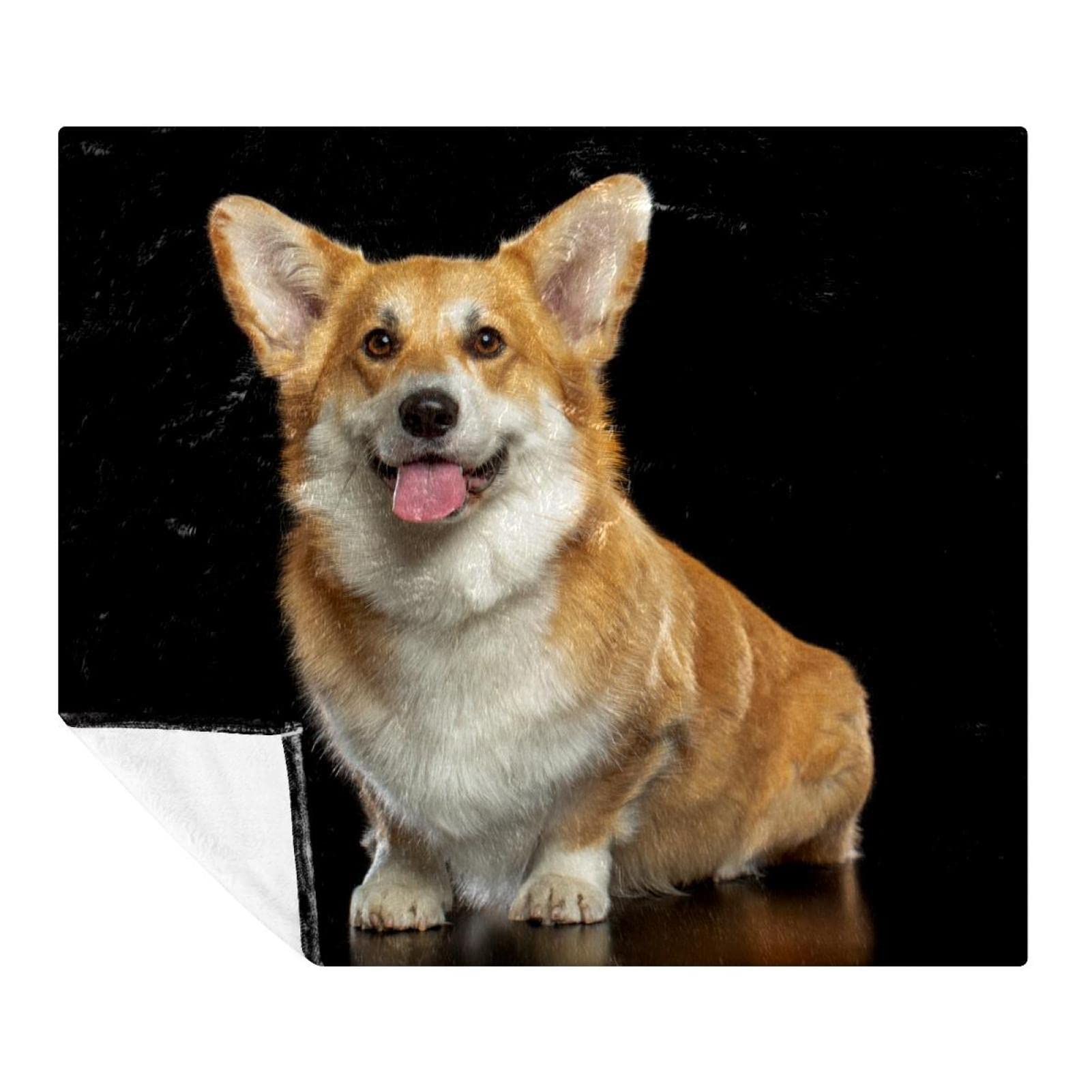 Couverture pour chien Corgi en polaire contre le froid sur le canapé-lit des enfants