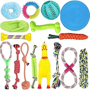 16pcs Hundespielzeug Kauspielzeug Interaktives Spielzeug Set Intelligenz Hundeseile Spielset Seil aus Baumwolle Zahnreinigung für große mittelere kleine Hunde und Welpe