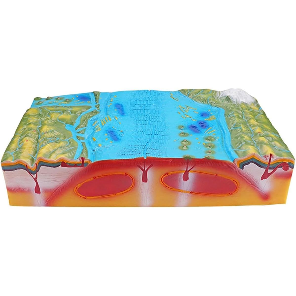 Modèle démonstrateur pédagogique géographique - Tectonique des plaques 3D et modèles géomorphologiques pour une utilisation éducative dans les lycées junior et senior