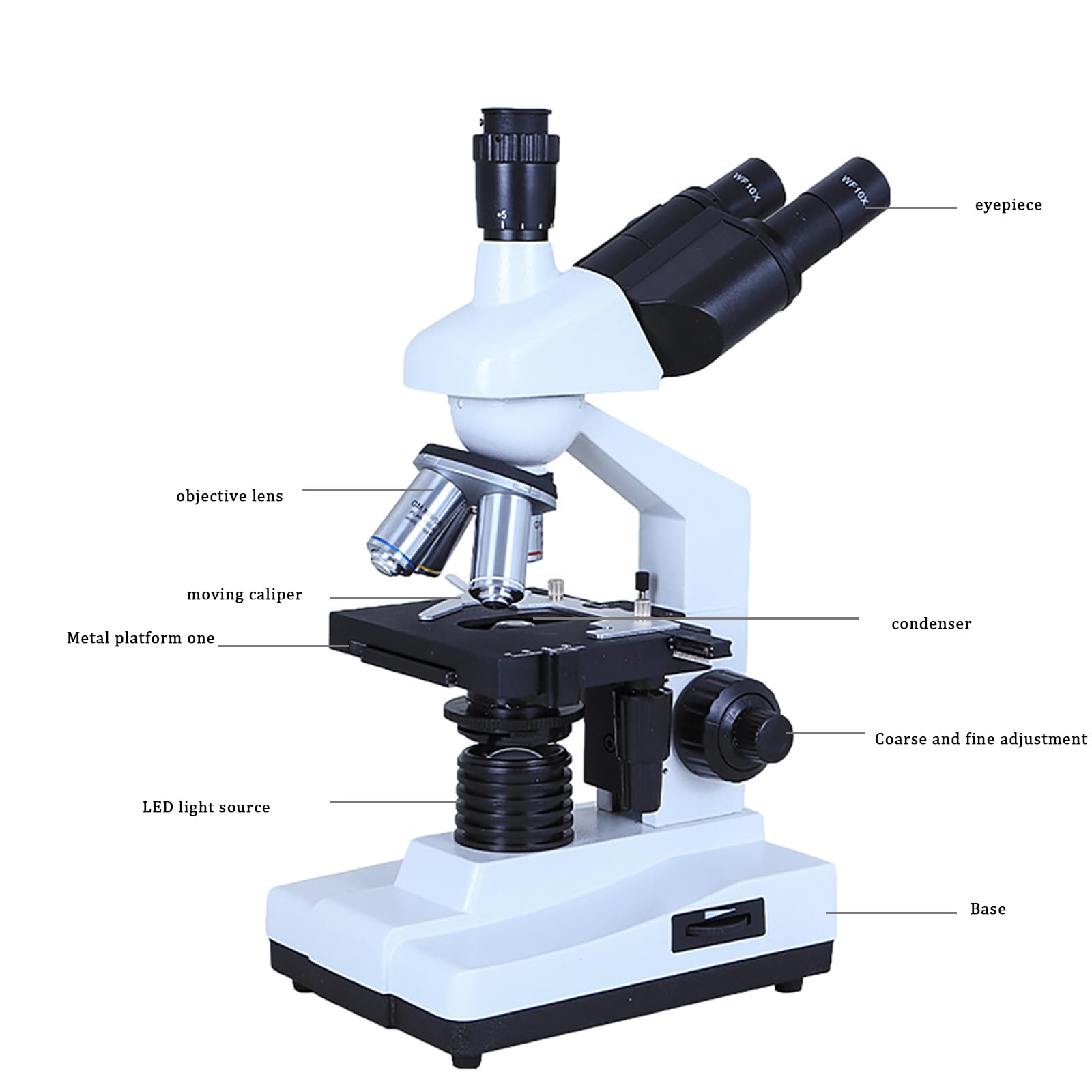 Microscopio Biologico, Microscopio Trinoculare Composto (1600X), con Vetrini, Display da 7 Pollici, Collegabile A Un Computer, Adatto per Laboratori Medici,White