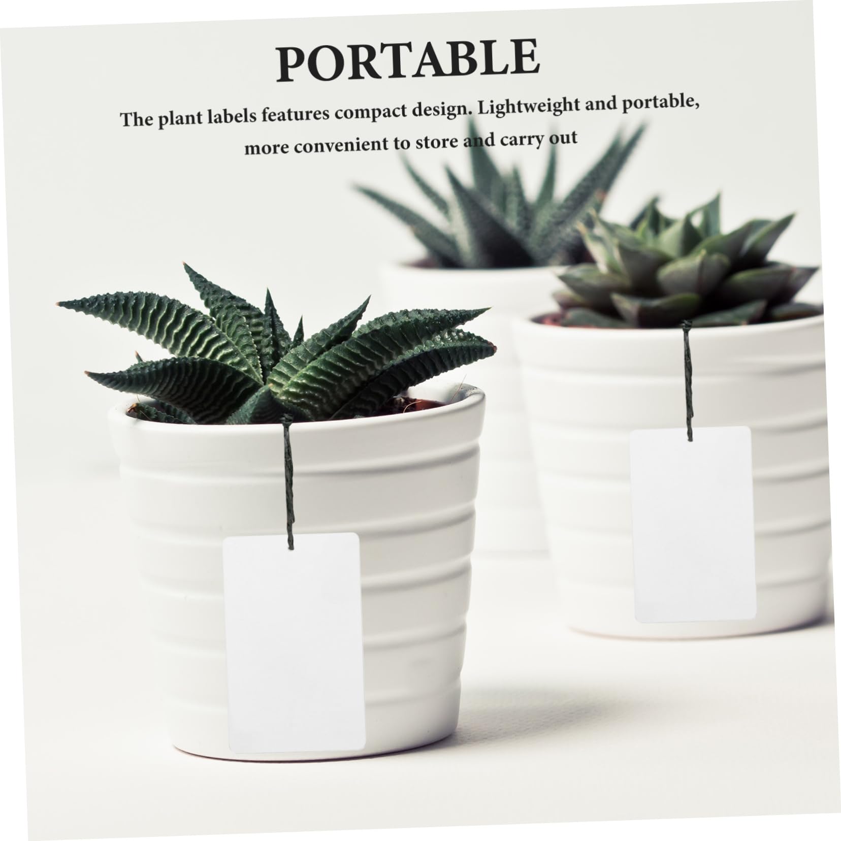 POPETPOP 200 Pcs Étiquette De Plante Étiquettes De Marquage De Plantes Étiquettes De Marqueurs De Jardin Étiquettes De es À Effet De Marqueurs De Pépinière r De e