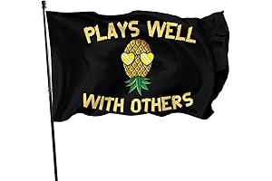 Welcome to the Upside Down Stranger Things Flag