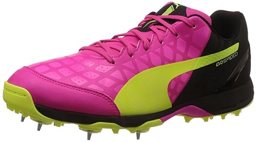 puma evospeed cricket spikes
