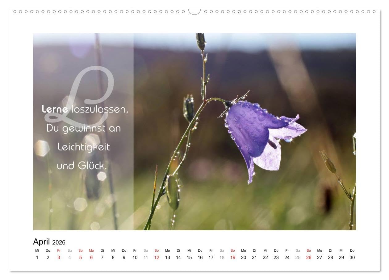 Kraft für Deine Seele (hochwertiger Premium Wandkalender 2026 DIN A2 quer), Kunstdruck in Hochglanz: "Inspiration ist die Sprache der Seele." Dieser ... in einem exklusiven Design. (CALVENDO Glaube)