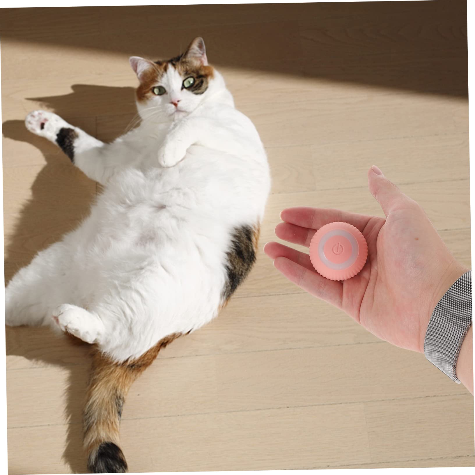 SUPVOX Lot De 3 Jouets Interactifs Amusants pour Chats Jouet Intelligent pour Chatons