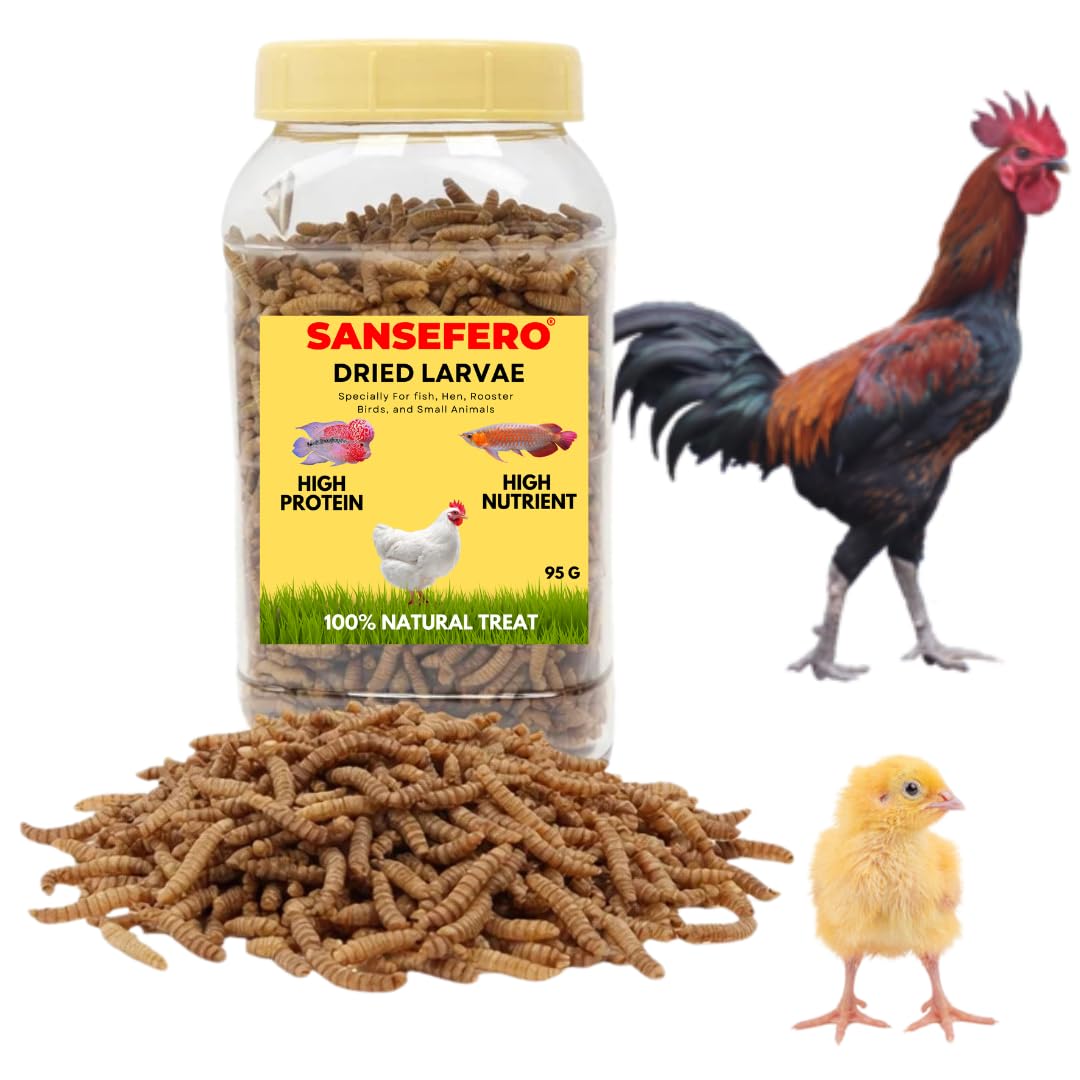 Dried Larvae Worms for High Protein Food of All Life Stages Fishes, Chickens, Hens, Rooster, Hamsters & Other Reptiles Immune Booster & Breeding Nutrition (95 Gram)-image-5