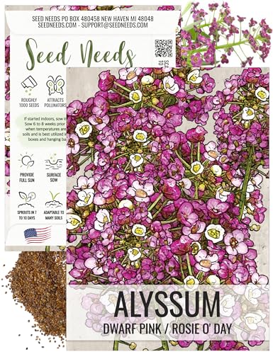 Seed Needs Dwarf Pink Alyssum Seeds for Planting -...