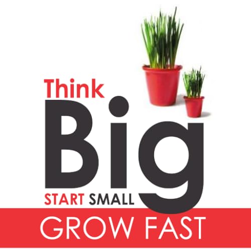 Think Big Start Small Grow Fast