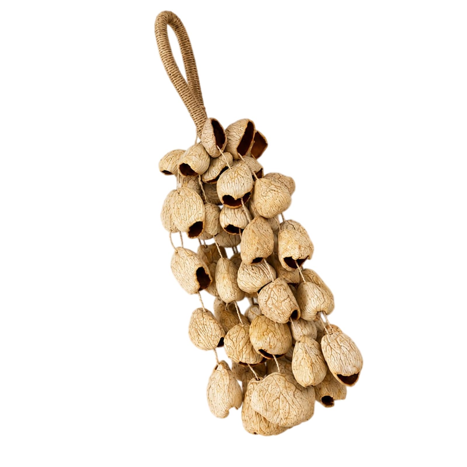 Campanelli a vento compatti leggeri con guscio di frutta naturale per musica da viaggio strumenti a percussione per musica da viaggio strumenti a percussione da giardino all'aperto