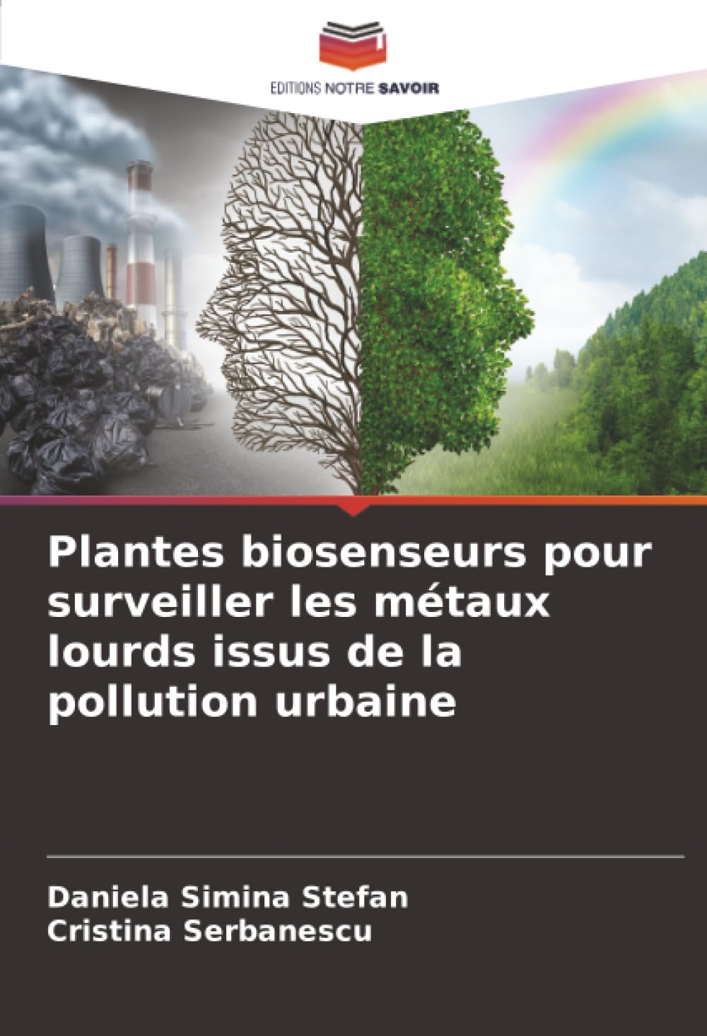 Plantes biosenseurs pour surveiller les métaux lourds issus de la pollution urbaine
