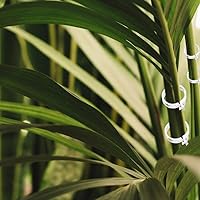 Vista 5 de Clips de soporte para plantas, clips de jardín reutilizables, clips de plástico asegurados para plantas, clips de soporte de tomate para enrejado