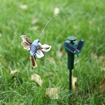 ハミングバード YSFLIGHT.COM - 2011 Hummingbird (ハチドリ)スペシャル