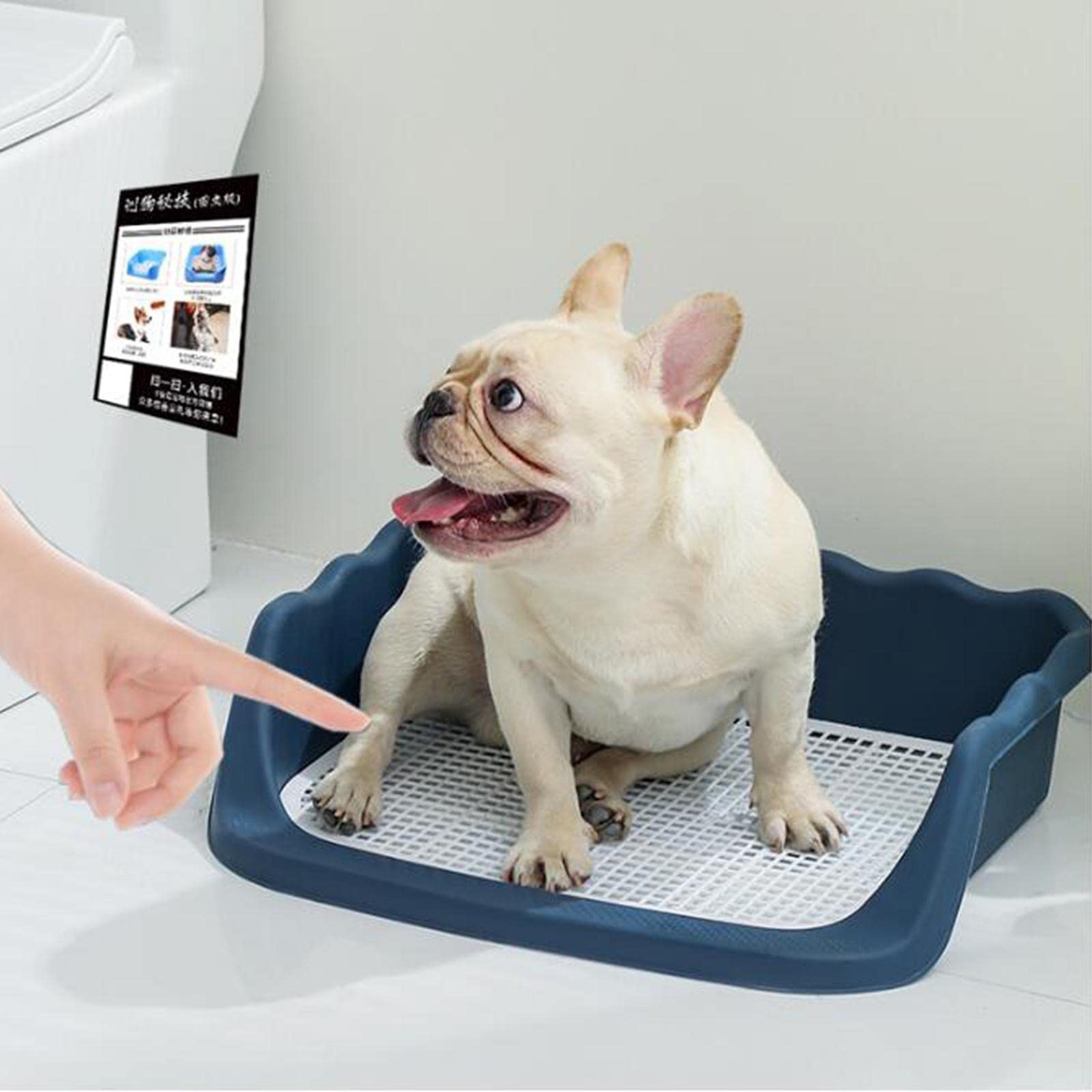 Ecktoilette für Kleintiere, Meerschweinchen Und Kaninchentoilette, Hamstertoilette mit Stabiler PP Konstruktion, Geeignet für, Dunkelblau