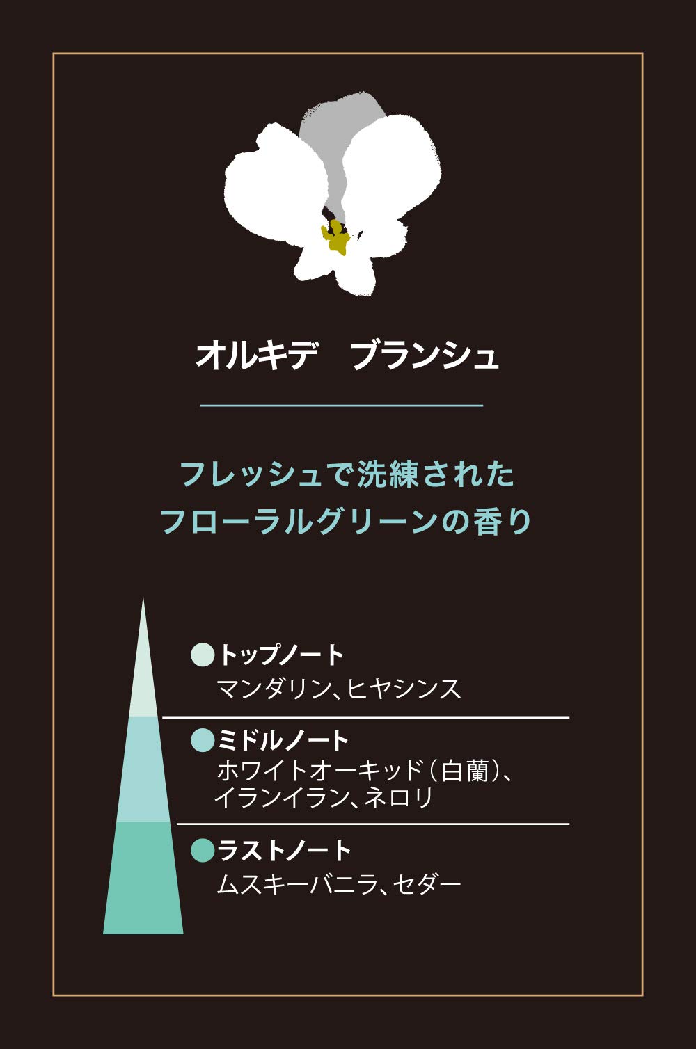【新品未使用】エステバン　オルキデ ブランシュ コフレラタンブーケ Amazon.co.jp: エステバン オルキデブランシュ コフレラタンブーケ