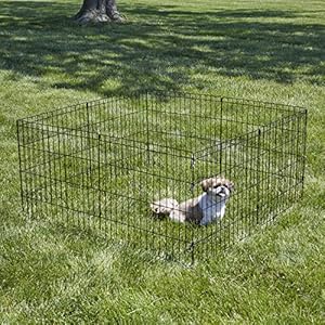 New world pet products 24 foldable black metal dog exercise pen no door   cucciolini doodles