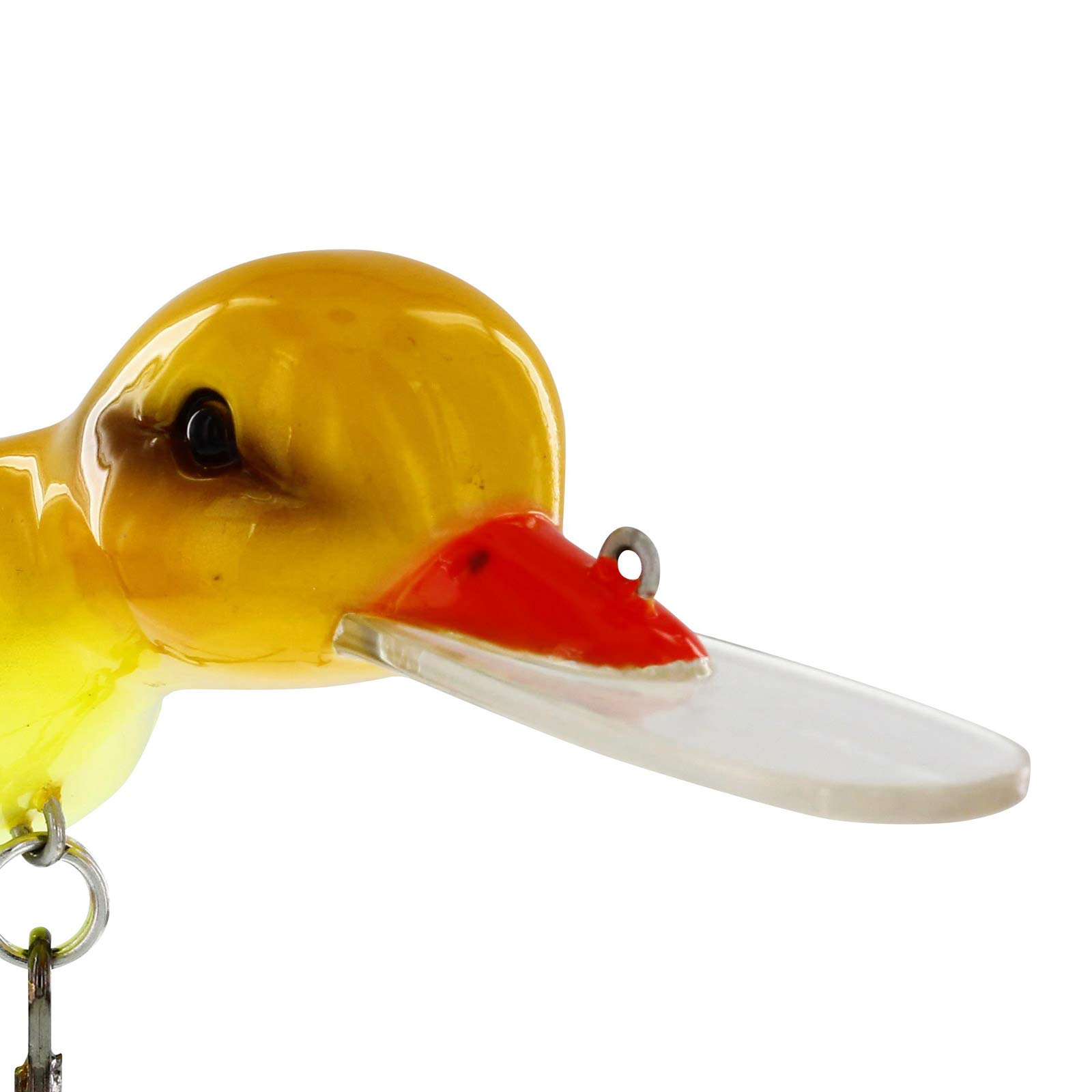 best fishing pole for trout and bass Selecting the Correct Casting Rod for Trout  Social Fishing