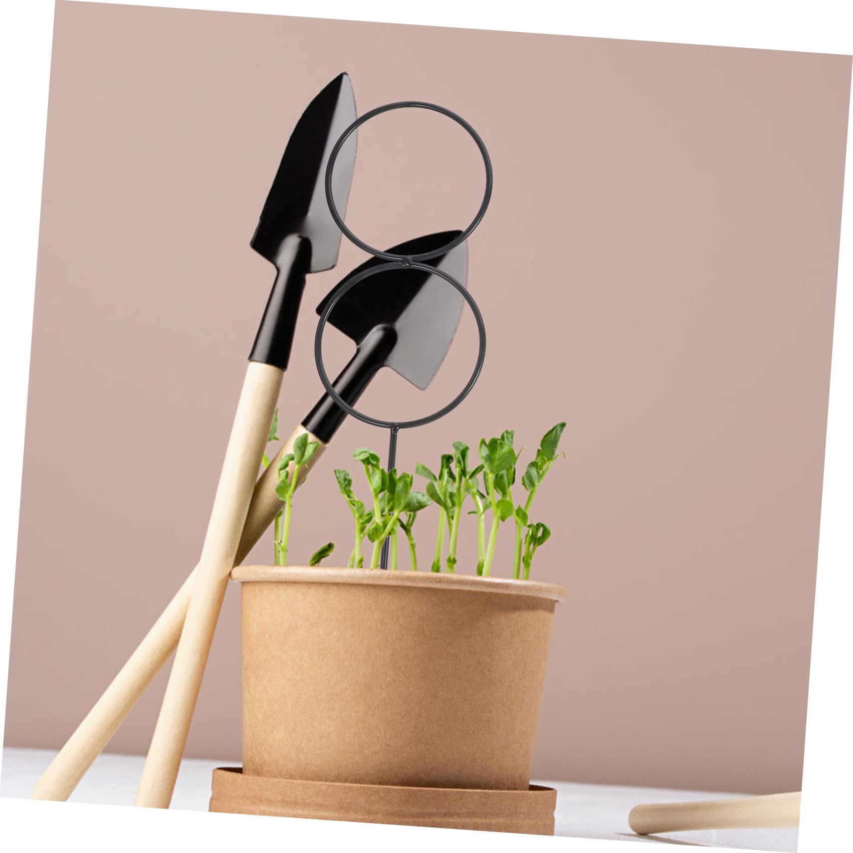 TOYANDONA Kit di Supporto per Rami di Alberi da Frutto in