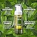 NEOGEN Real Fresh Foam Cleanser, Green Tea 5.6 Fl Oz (160g) - Soothing & Hydrating Gentle Cleansing Foam with Real Green Tea Extract, Clean Beauty - Korean Skin Care