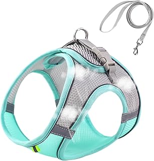 arnês e trela para gatos - arnês e trela para gato para prova fuga a pé,Arneses colete ajustáveis leves e macios para caminhada à prova fuga para gatos Pologmase