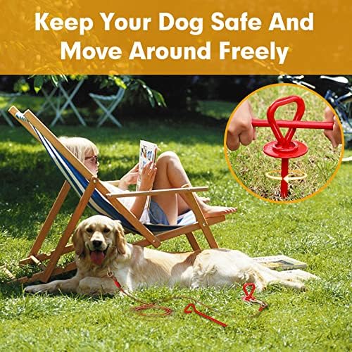 How To Keep Dogs Safe While Camping