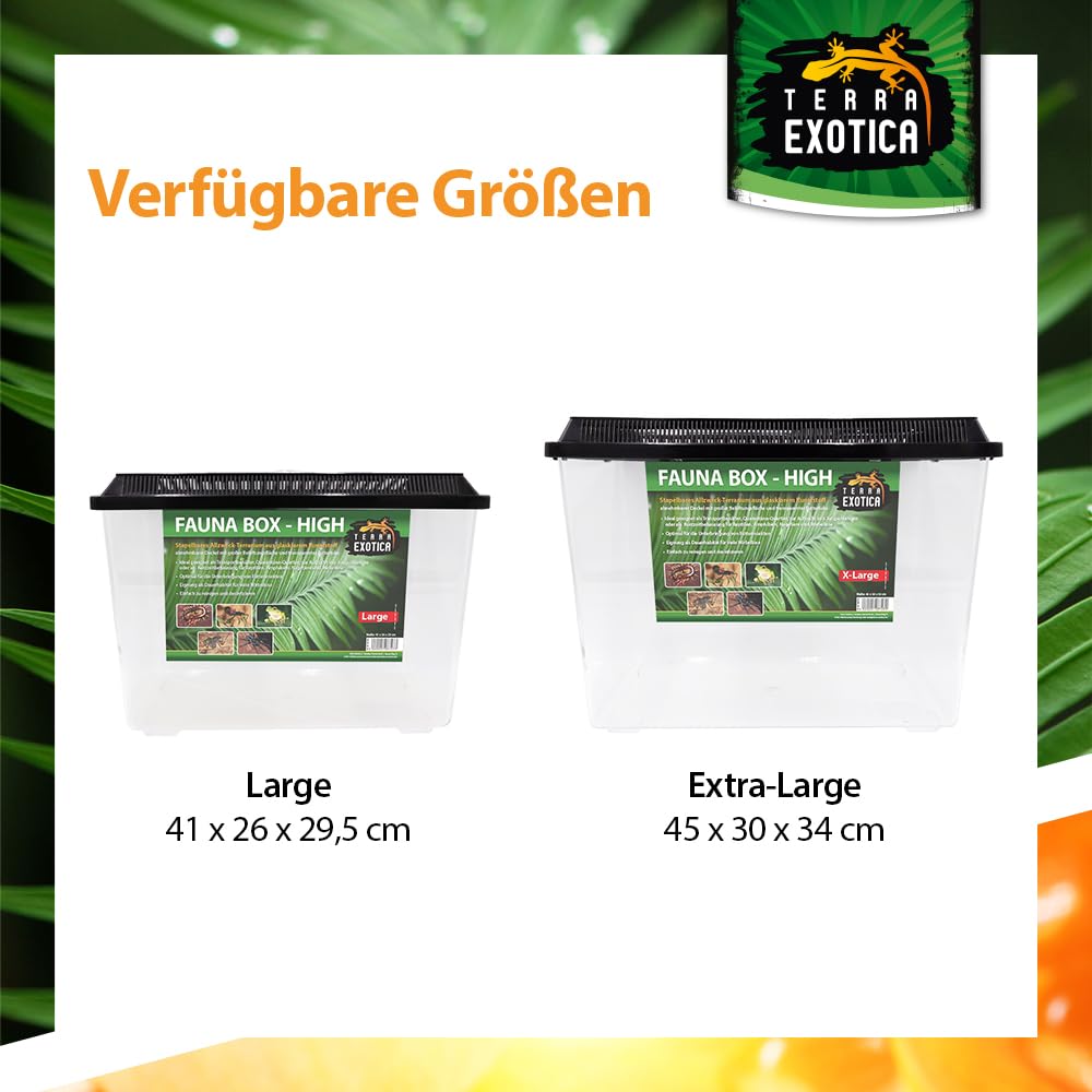 Terra Exotica Fauna Box Flat (Large, Small) oder Fauna Box High (Large, X-Large) - Transportbox für Reptilien, Amphibien,Mäuse - Kunststoffterrarium/Zuchtbox für Insekten (High, Extra-Large)