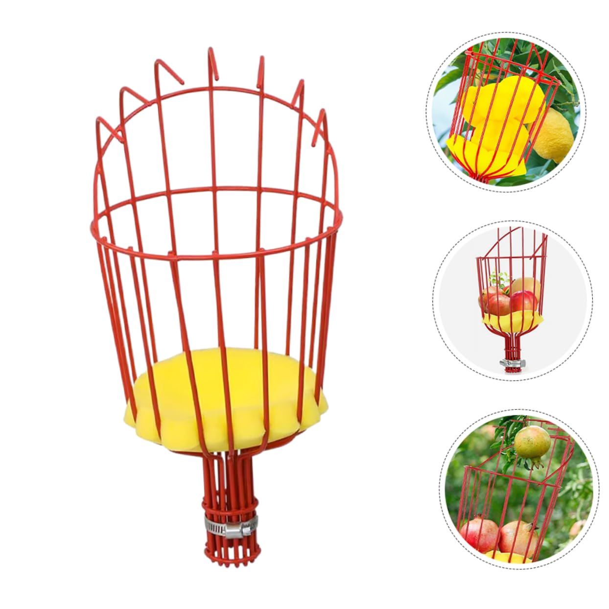 HANABASS Raccoglitrice di Frutta in Acciaio Inox Cestino Raccoglitrice senza Manico Attrezzo Agricolo per Raccolta Frutta da Albero Adatto Mele Pere Pesche Kiwi Limoni Arance