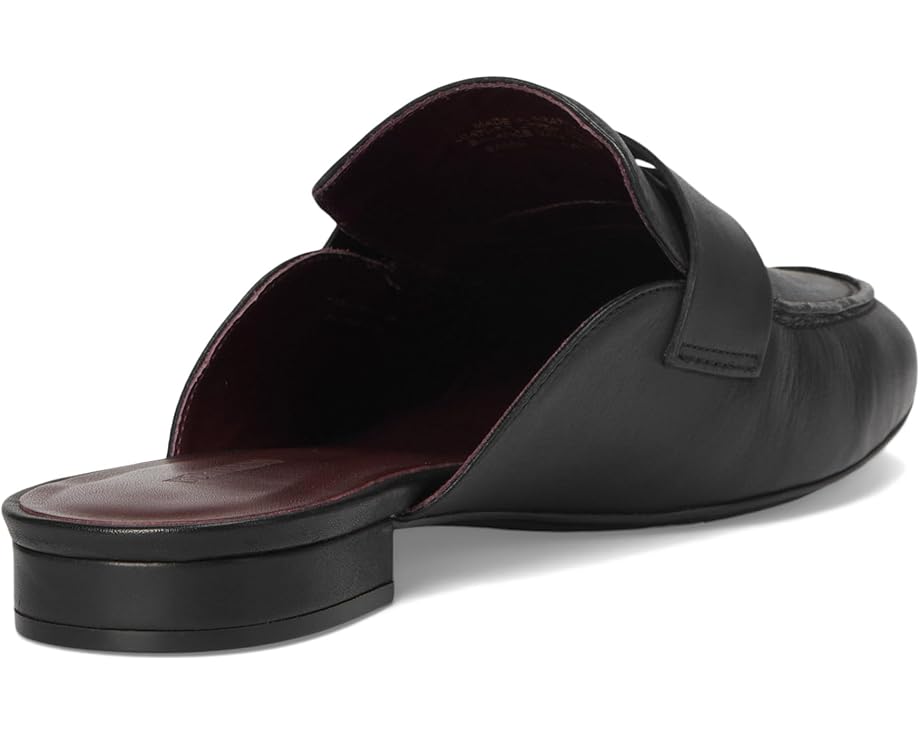 Bernardo Balda - Back View