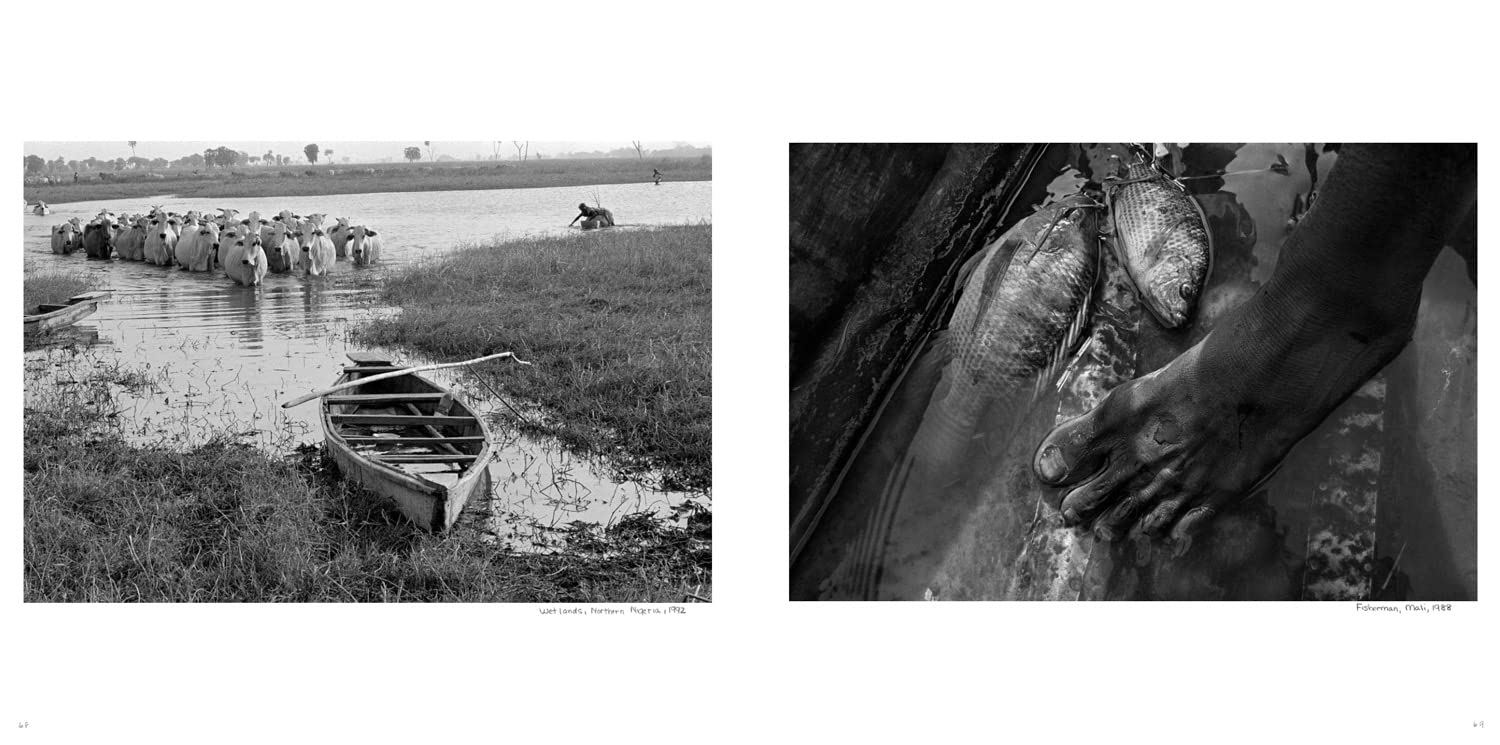Eugene Richards: In This Brief Life