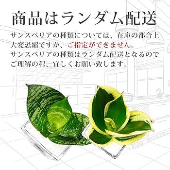 サンスベリ　マーシャンダ ホワイト Santorini Gray & White Floral Marble Mosaic Tile | Tile Club