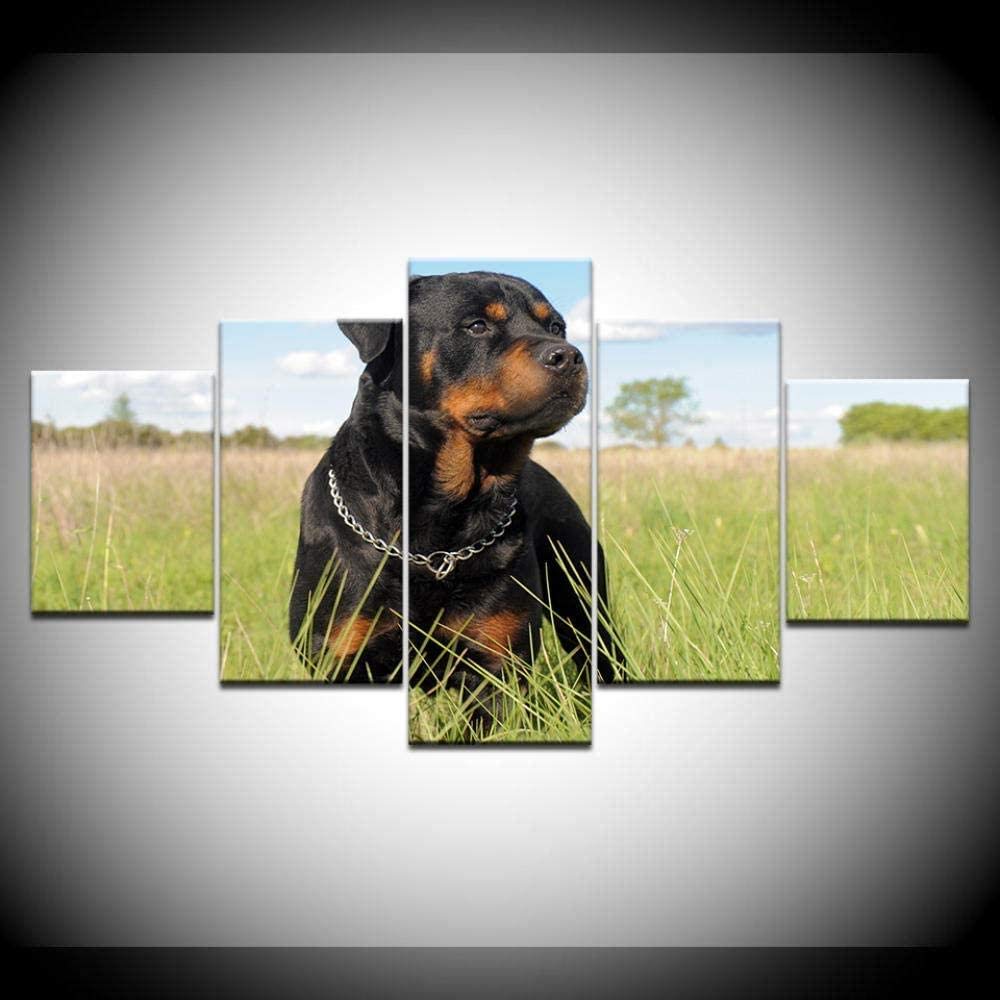 QQYYYT 5 HD Printed Canvas German Shepherd Dog Painting Wall Pictures for Living Room Bedroom Decoration-Art Gift-Ready to Hang