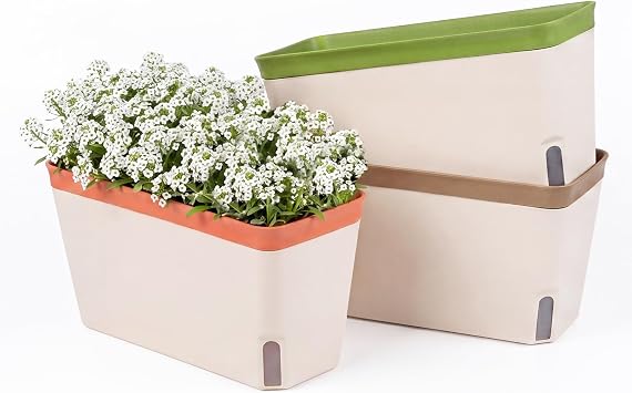 TOQUE 3 Pack Self Watering Indoor Plant Pots, 27cm Rectangular Herb Planter Box with Water Level Window, Window Sill Plastic Flower Pots, Indoor Outdoor Planters for Succulents & Flowers