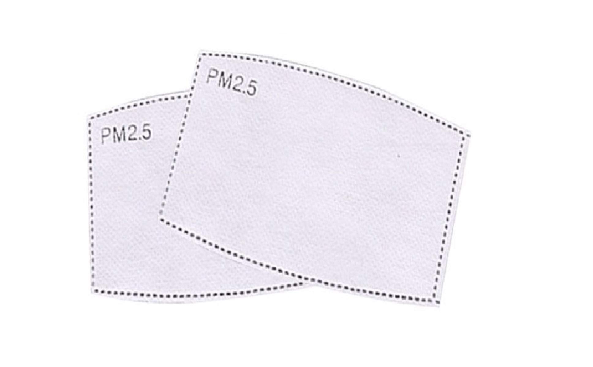 VRITRAZ Kids Cotton PM 2.5 Carbon Activated Anti Pollution Dust Filter, White (Pack of 2) (B084BW7392) Amazon Price History, Amazon Price Tracker