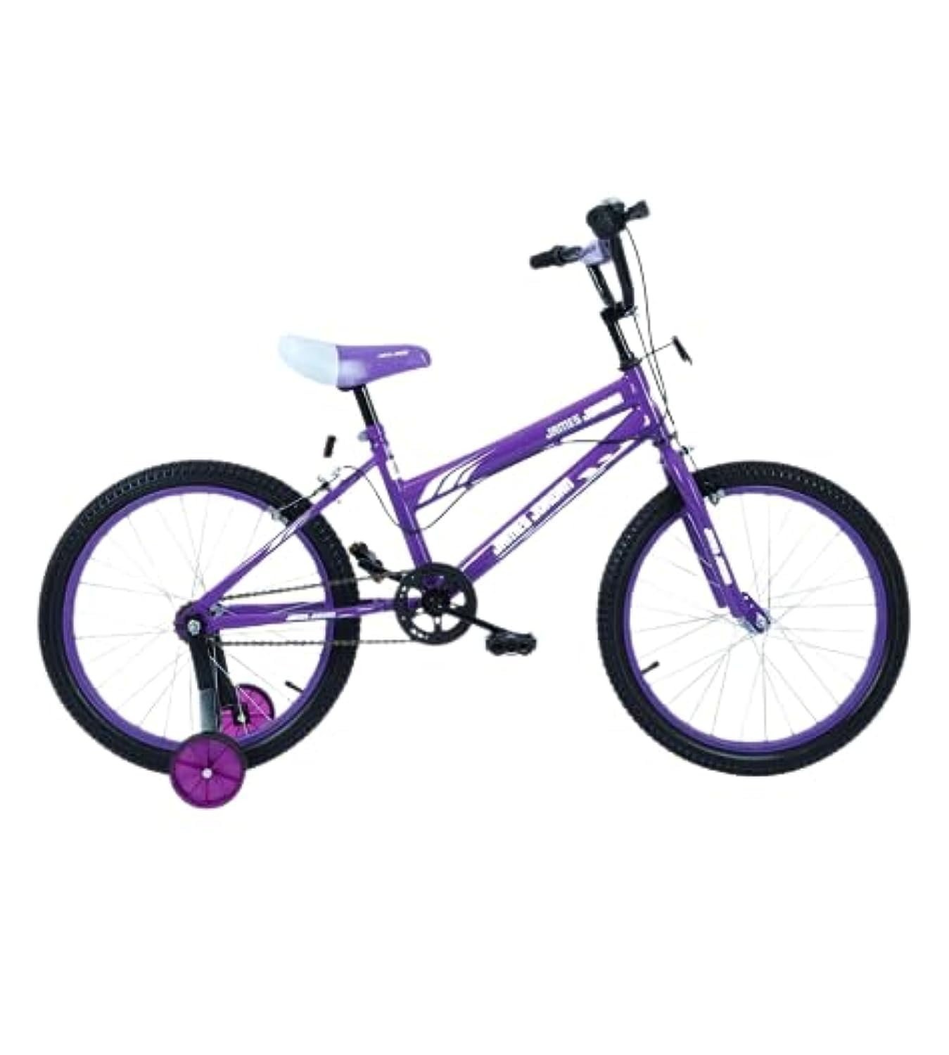 James Jordan Violet Voyager JDN1021 20 Inch Boys Bicycle with Training Wheels