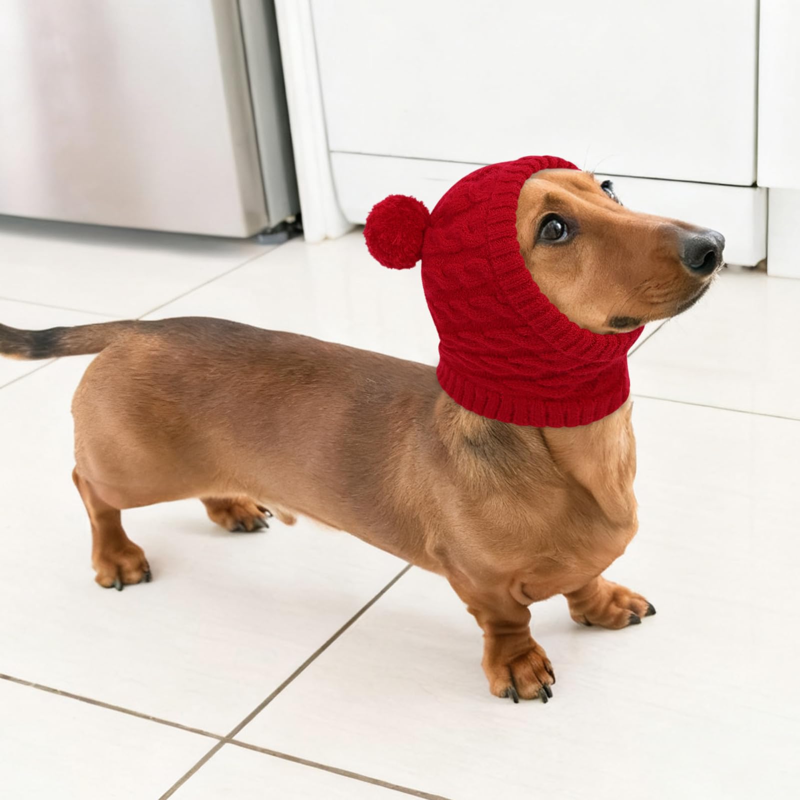Bonnet Pour Chien Pompon En Tricot Noël Père Noël Lumineux Costume De Fête Vacances Hiver Vêtements Tenue Pour Animal De Compagnie Teckel Elfe Casquette Personnalisée Chien Cadeau Amoureux - France