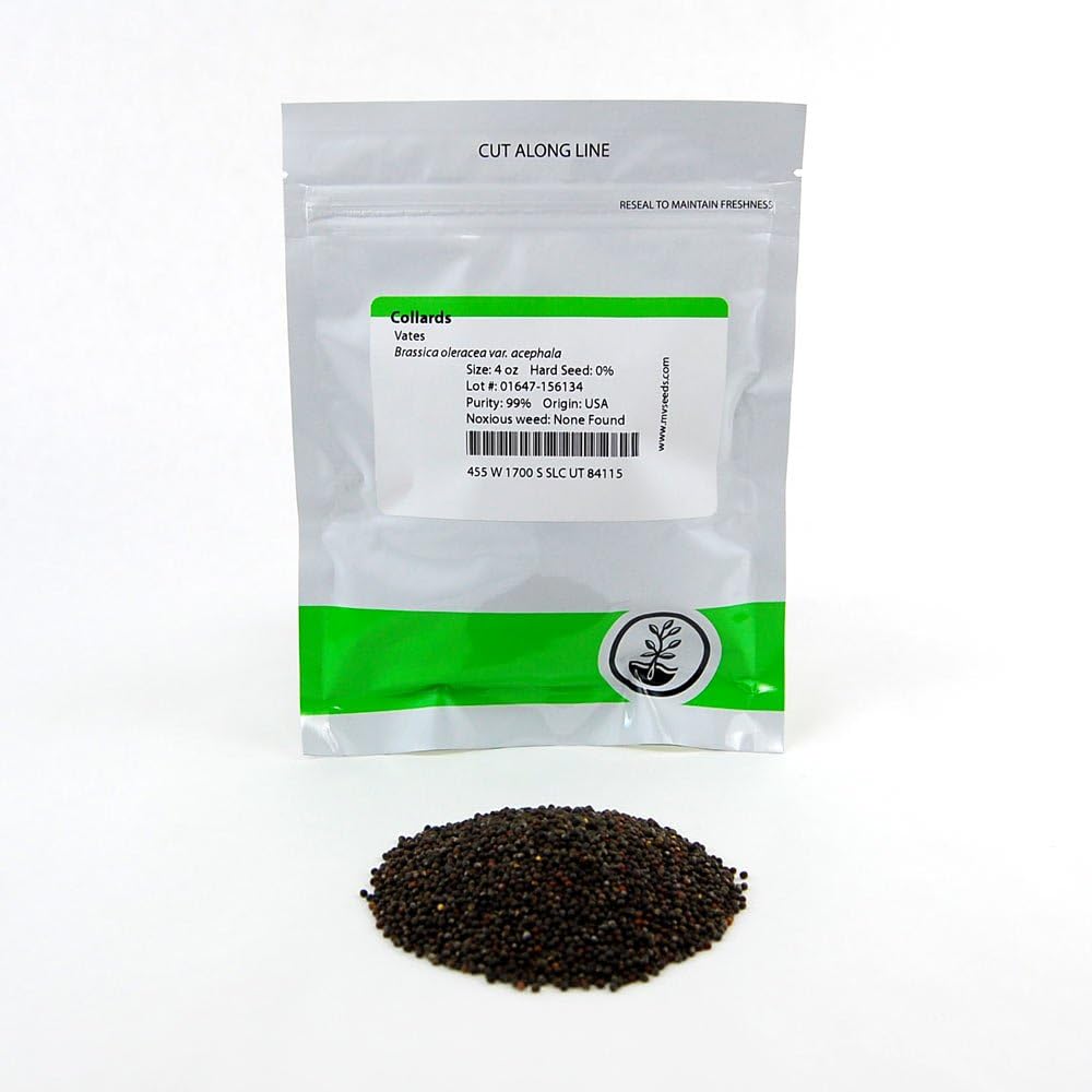 Vates Collard Green Seeds: 1 Lb - Non-GMO Vegetable Garden & Micro Greens Seeds