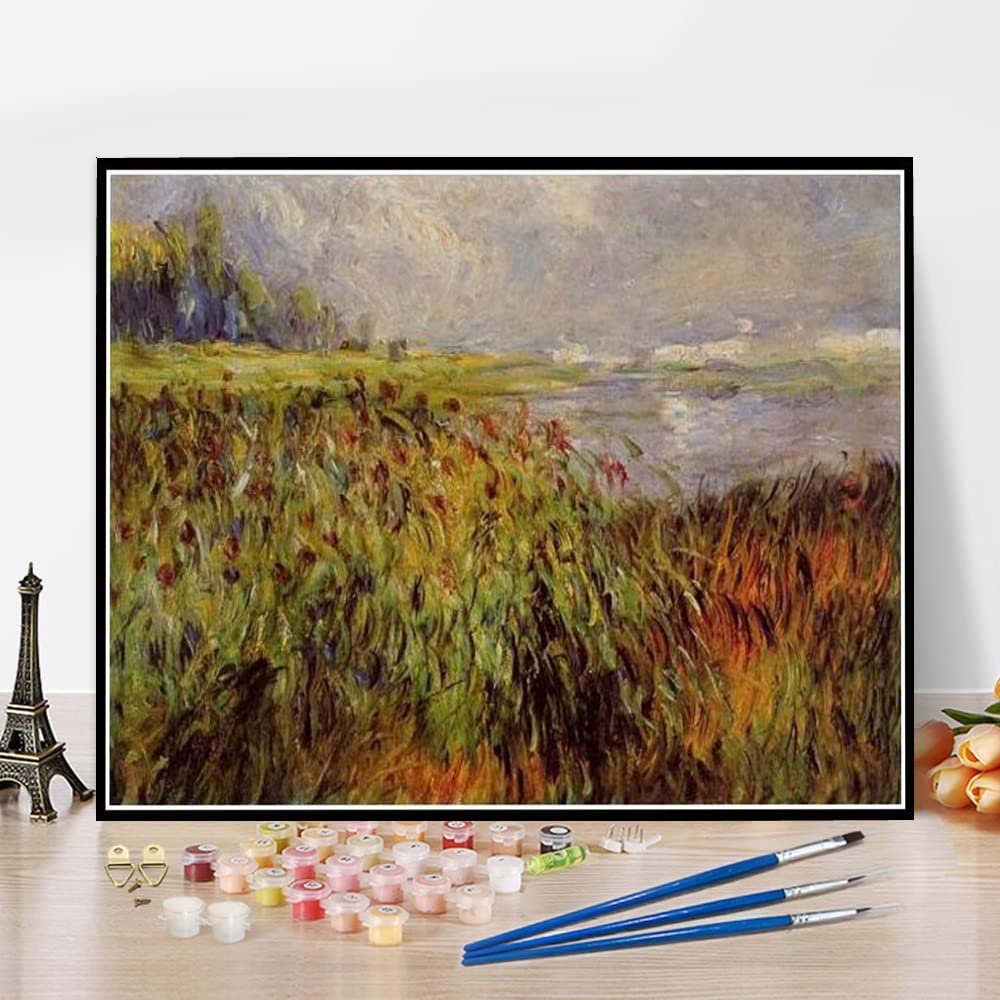 Amazon | 油絵数字キットによる絵画塗り絵大人手塗りオーギュスト