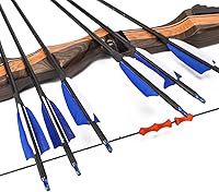 Vista 5 de LWANO Flechas de Carbono de 30" - Flechas de Tiro con Arco para Práctica de Tiro al Blanco y Caza con Plumas de Pavo de 4" Spine 500 para Arco