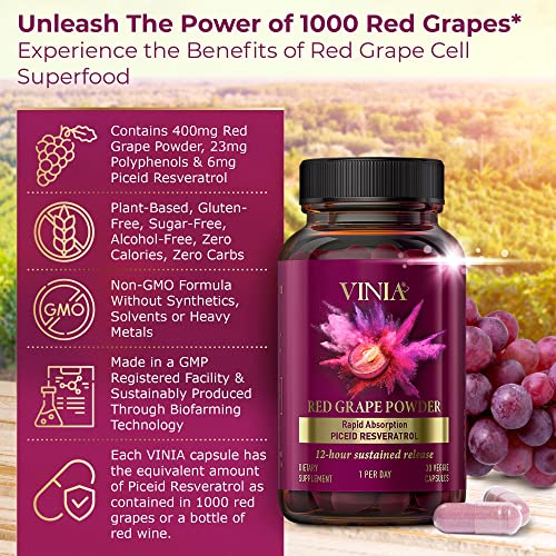 vinia 12-hour long-lasting piceid resveratrol supplement nitric oxide booster supports heart health blood flow boost oxygen superfood powder keto friendly vegan amp non-gmo 30 day supply