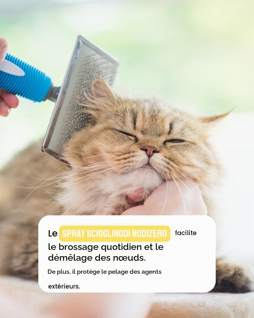 Il Principino - Spray Démêlant chien et chat, idéal pour dissoudre nœuds, demelant chat poils longs, démêlant efficace poils de chien, aide le brossage, illumine,empêche la formation des nœuds 200 ml