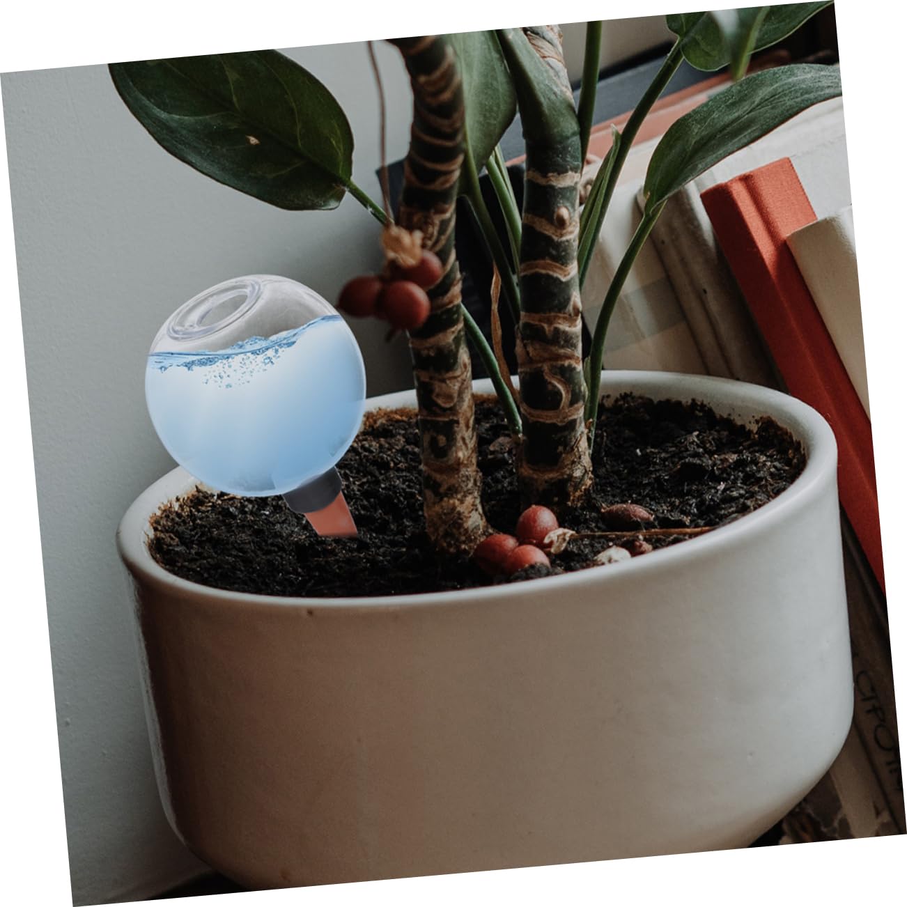 3 Ensembles Globe Arrosage Automatique pour Plantes Dintérieur Extérieur Système Auto Arrosage À Économique Et Durable Distributeur Eau pour Et Potager 2 Pièces * 3