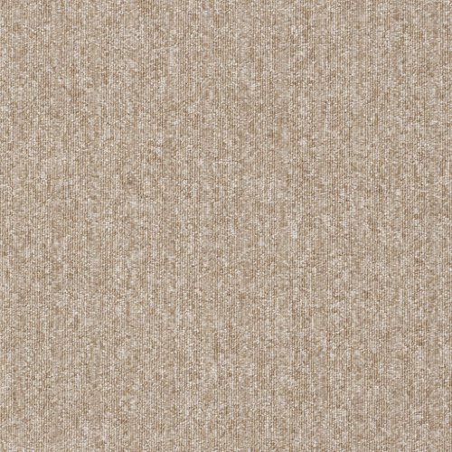�X�~�m�G �^�C���J�[�y�b�g �h�� ���d ECOS PX-3007S 50×50cm 20����