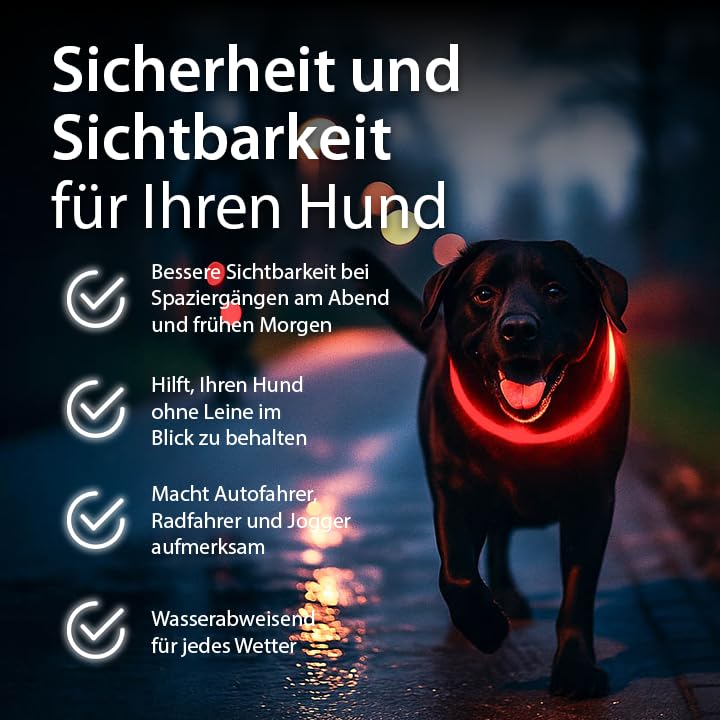 PetSol LED-Hundehalsband in Rot – wiederaufladbares USB-Sicherheitshalsband mit blinkendem Licht für Hunde, Katzen und Welpen – Größe S, M und L – modisches, im Dunkeln leuchtendes Design